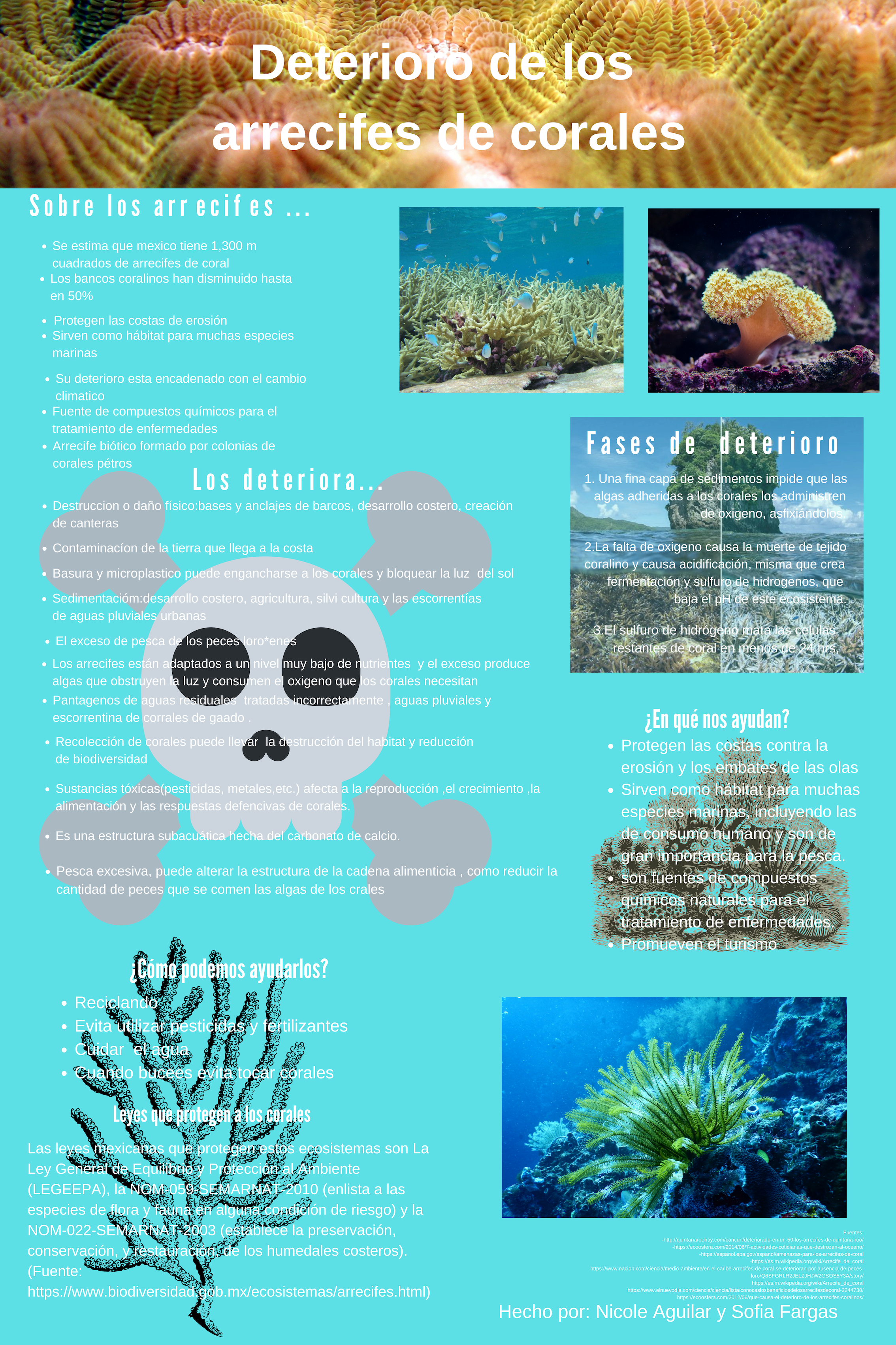 arrecifesdecorales