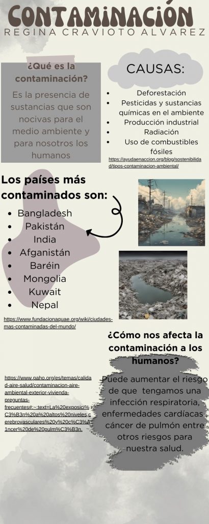 Contaminación ---- Regina Cravioto Alvarez ---- 1°B