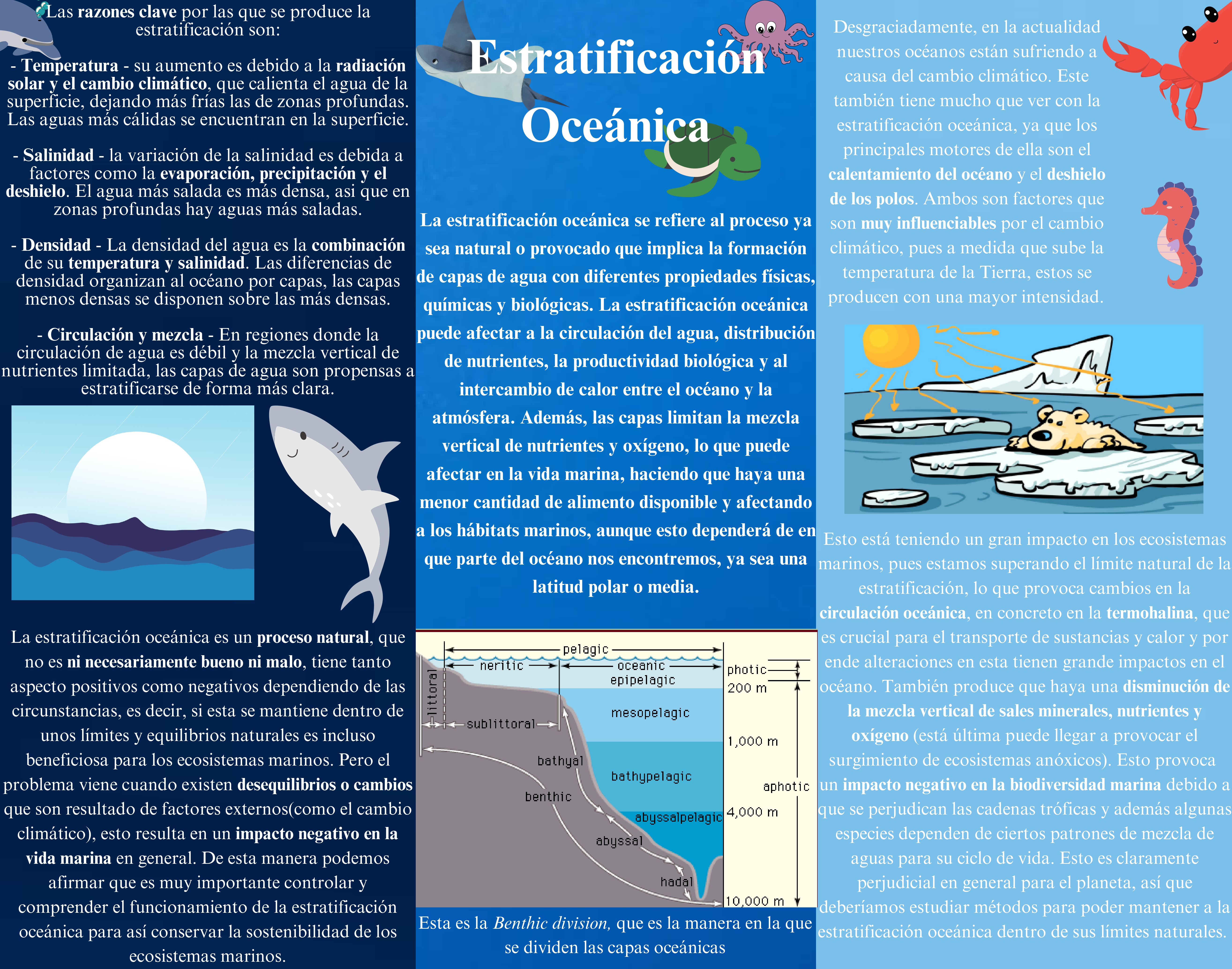 Estratificación oceánica _page-0001