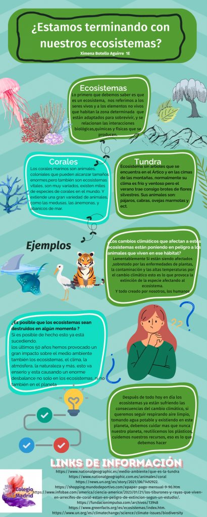 Infografía de animales de la selva infantil verde