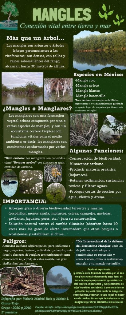 Infografía Mangles-CLMNTK