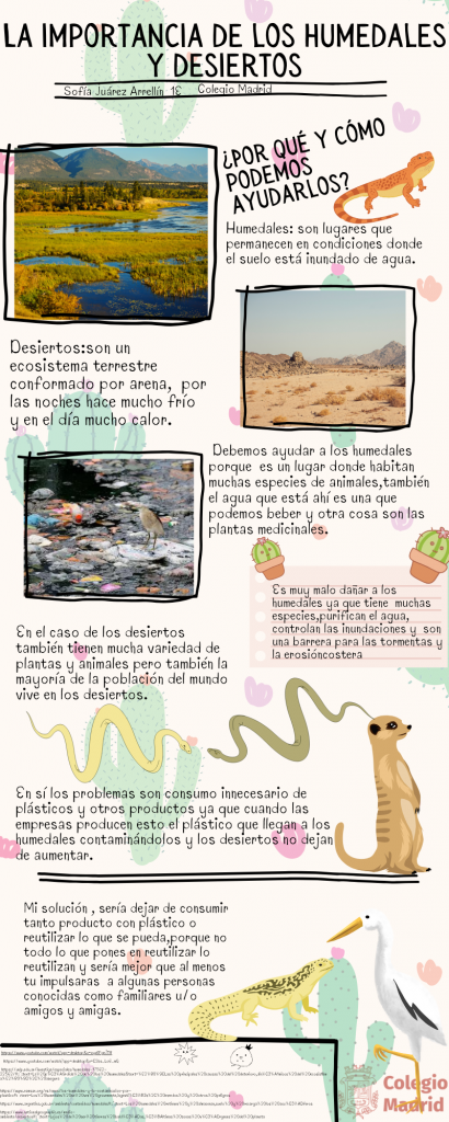 La importancia de los humedales y desiertos