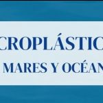 Microplásticos marinos