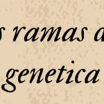 las ramas de la genética