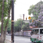 El olvido habita en la culpa