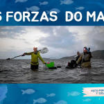 Captura de pantalla 2025-05-29 190726