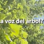 Obraz4
