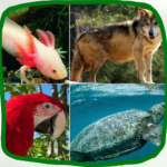 Especies endémicas